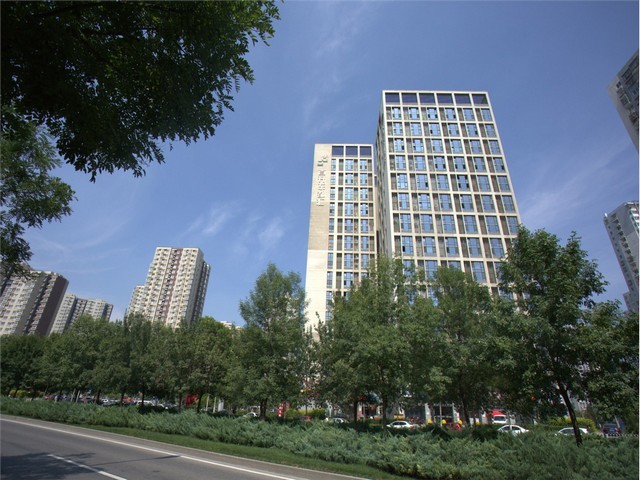 安徽阿根廷臻旺小猪酒服务电话